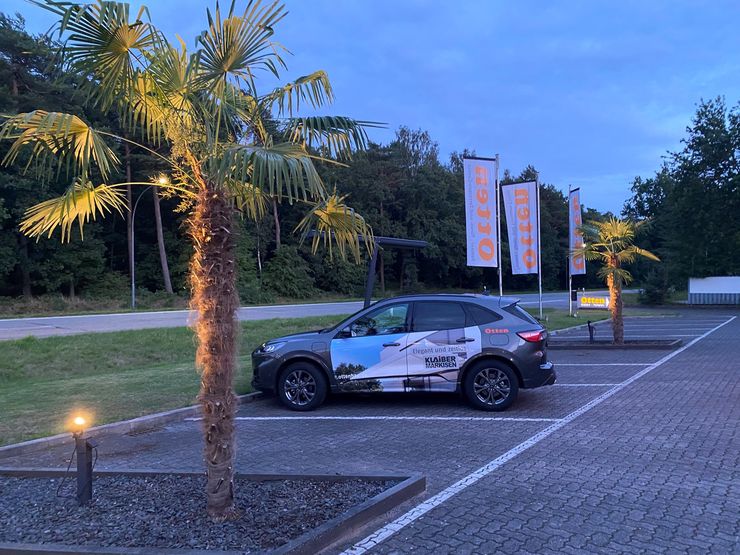 Otten_Paulwitz Palme2.Jpg
